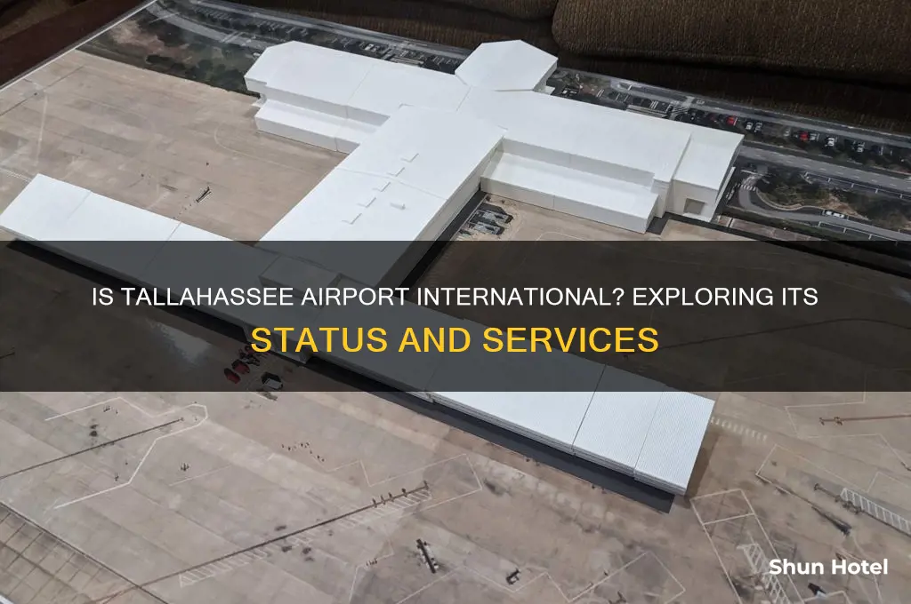is tallahassee airport international