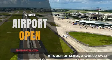 Is Tamoa Airport Open? Current Status and Travel Updates