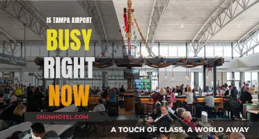 Tampa Airport: Current Busyness and What to Expect