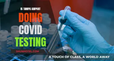 Tampa Airport's COVID Testing: What You Need to Know