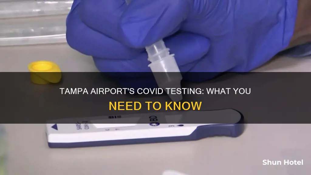 is tampa airport doing covid testing