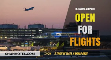 Is Tampa Airport Open for Flights? Current Status and Updates