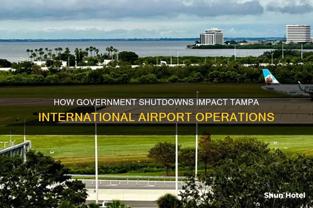 is tampa international airport affected by government shutdown