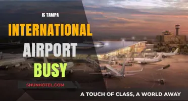 Is Tampa International Airport Busy? Exploring Passenger Traffic and Wait Times