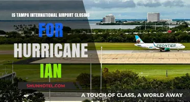Tampa International Airport Closure: Hurricane Ian's Impact on Flights
