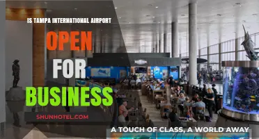 Is Tampa International Airport Operational for Business Travelers?