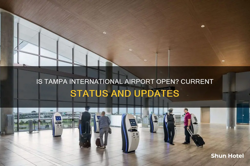 is tampa international airport open