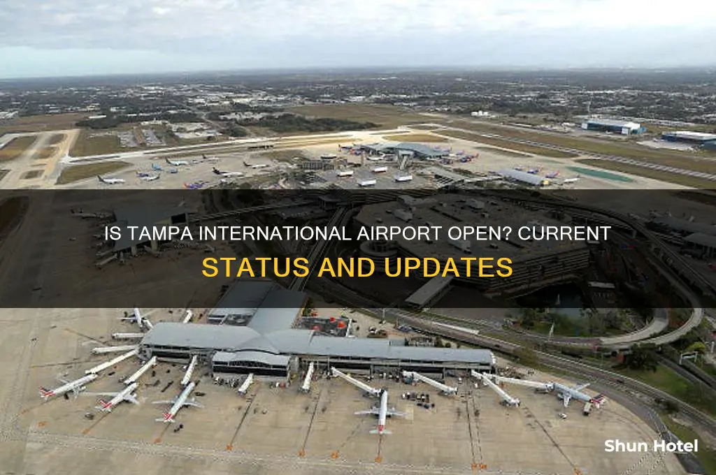 is tampa international open