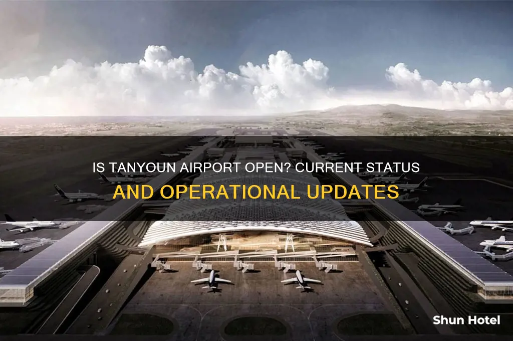 is tanyoun airport open