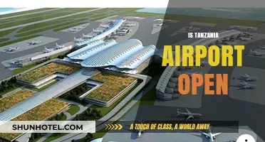 Is Tanzania Airport Open? Latest Updates and Travel Information