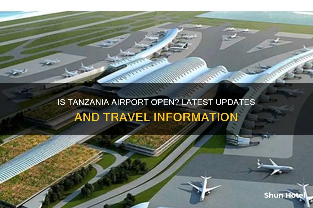 is tanzania airport open