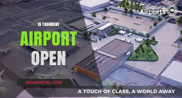Is Tashkent Airport Open? Current Status and Travel Updates
