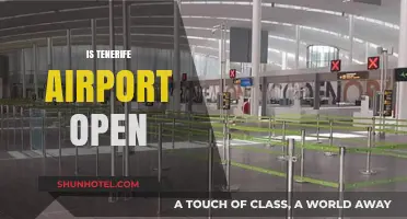 Is Tenerife Airport Open? Current Status and Travel Updates