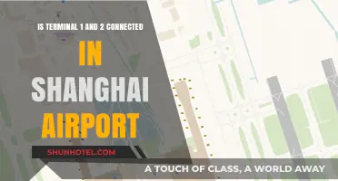 Navigating Shanghai Airport: Terminal 1 and 2 Connection Guide
