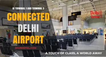 Navigating Delhi Airport: The Connection Between Terminal 1 and Terminal 3