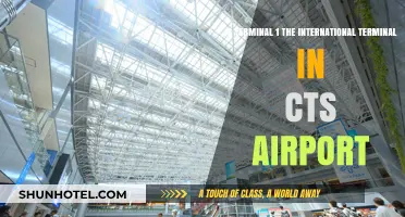 CTS Airport Terminal Guide: Is Terminal 1 for International Flights?