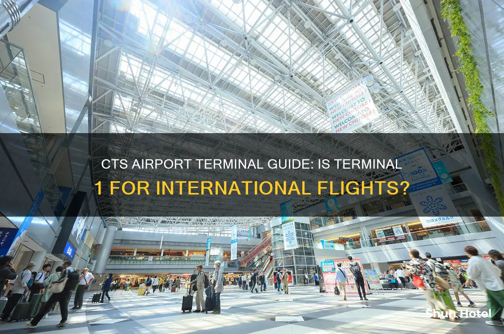 is terminal 1 the international terminal in cts airport