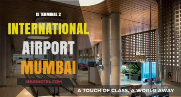 Mumbai Airport Terminal 2: International Hub or Domestic Gateway?