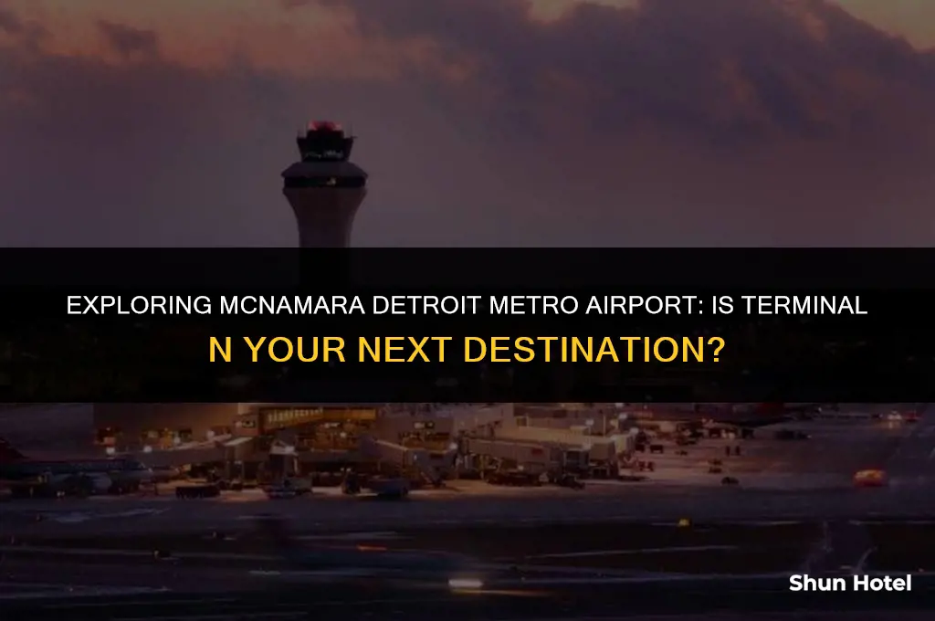 is terminal n at mcnamara detroit metro airport