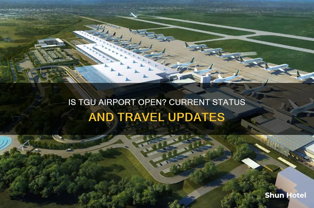 is tgu airport open