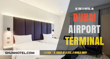 Exploring Lodging Options: Is There a Hotel in Dubai Airport Terminal?