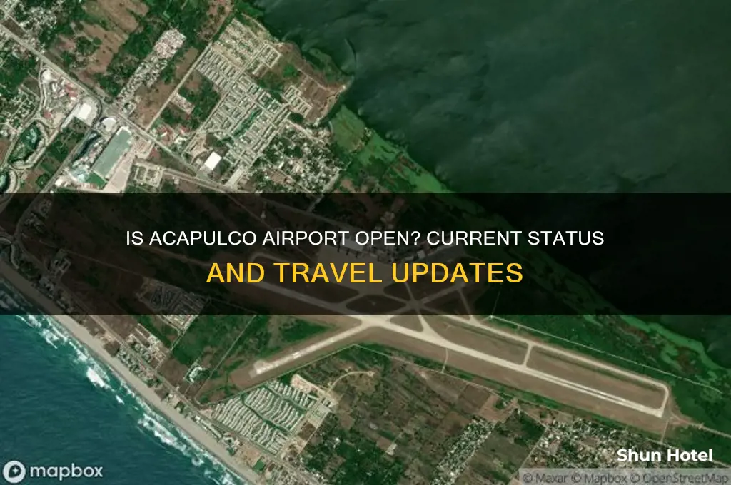 is the acapulco airport open