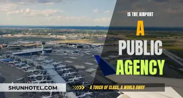 What Defines an Airport: Public Agency or Private Enterprise?