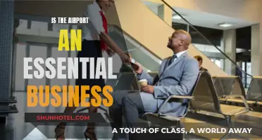 Airports: Essential Business or Luxury?