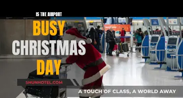 Christmas Day Airport Rush: Expect Delays?