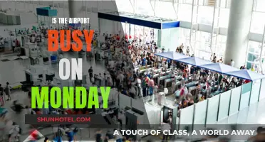 Monday Airport Rush: Is it Real?
