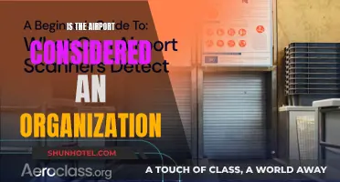 Airports: Organizational Structures and Their Unique Characteristics