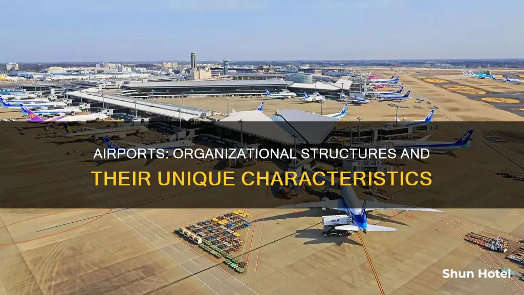 is the airport considered an organization