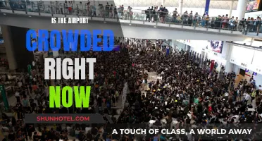 Avoid the Rush: Airport Crowds and You
