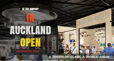 Is Auckland Airport Open? Current Status and Travel Updates