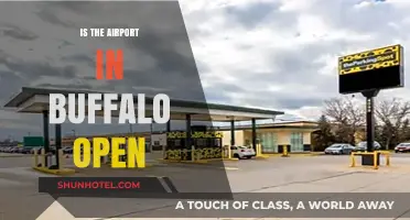Buffalo Airport Status: Is It Open for Flights Today?