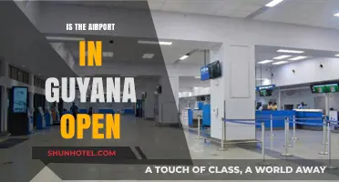 Is Guyana's Airport Open? Current Status and Travel Updates