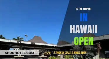 Is Hawaii's Airport Open? Current Status and Travel Updates