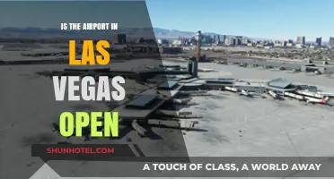 Is Las Vegas Airport Open? Current Status and Travel Updates
