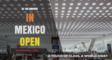 Is Mexico Airport Open? Current Status and Travel Updates