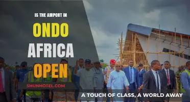 Is Ondo State's Airport Operational? Current Status and Updates
