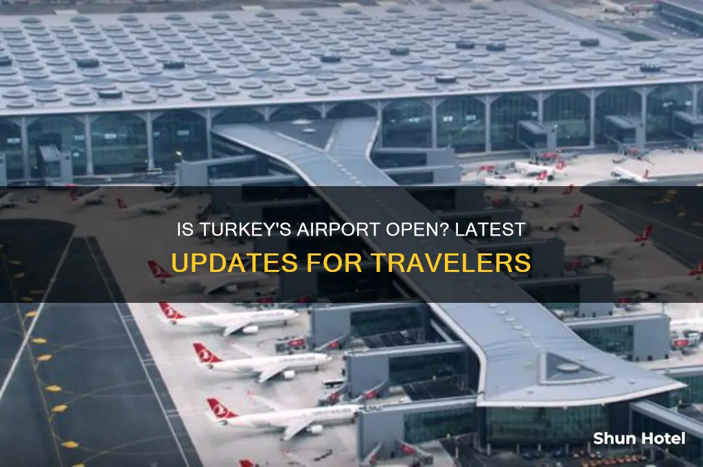 is the airport in turkey open
