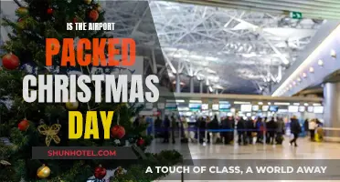 Christmas Day Airport Rush: Packed or Peaceful?