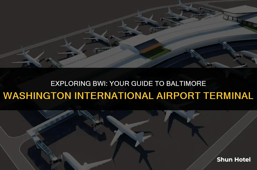 is the an airport at bwi terminal