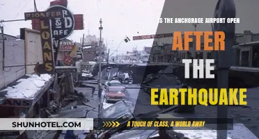Anchorage Airport Operational Status Post-Earthquake: What Travelers Need to Know