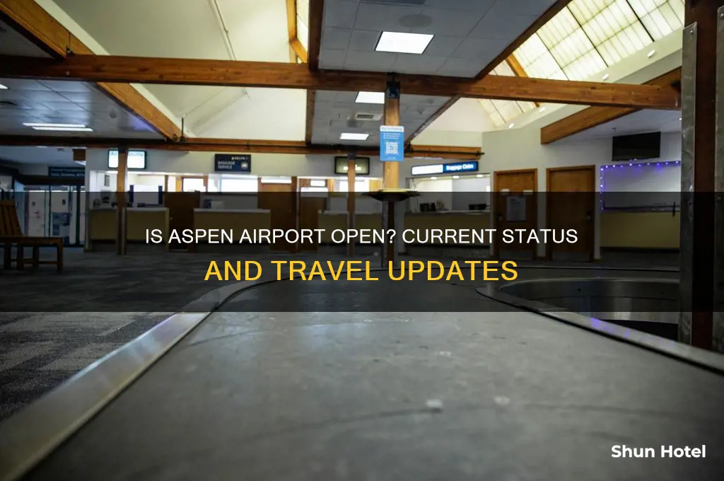 is the aspen airport open