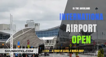 Is Auckland International Airport Open? Current Status and Updates