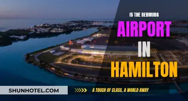 Hamilton's Bermuda Airport: Fact or Fiction?