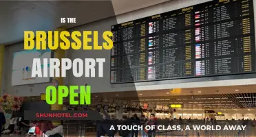 Is Brussels Airport Open? Current Status and Travel Updates