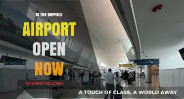 Buffalo Airport Operational Status: Current Openings and Travel Updates