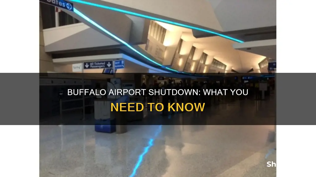 is the buffalo airport shut down